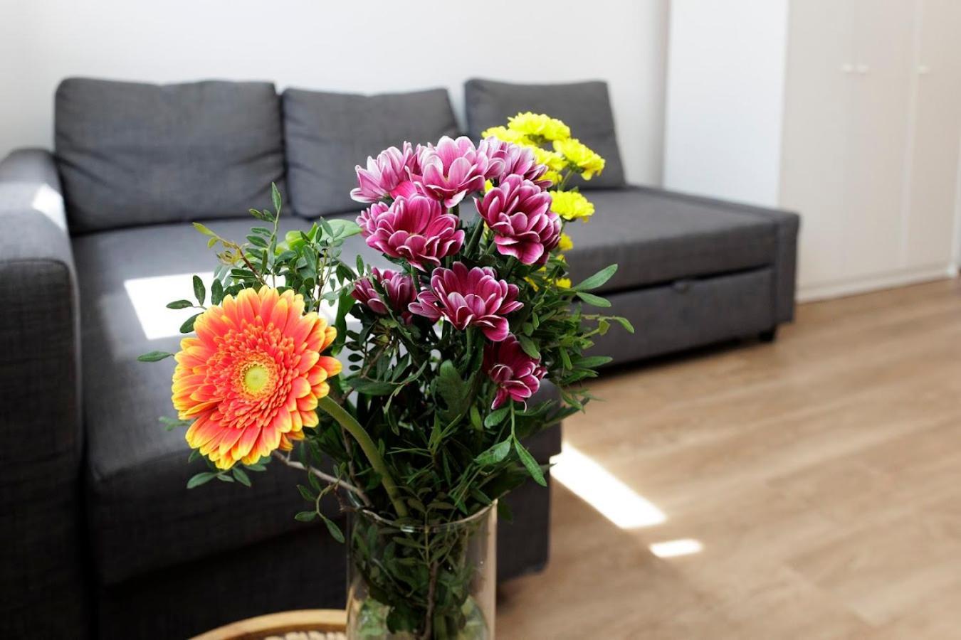 Diamond Residence In Old Town With Free Parking براتسيلافا المظهر الخارجي الصورة